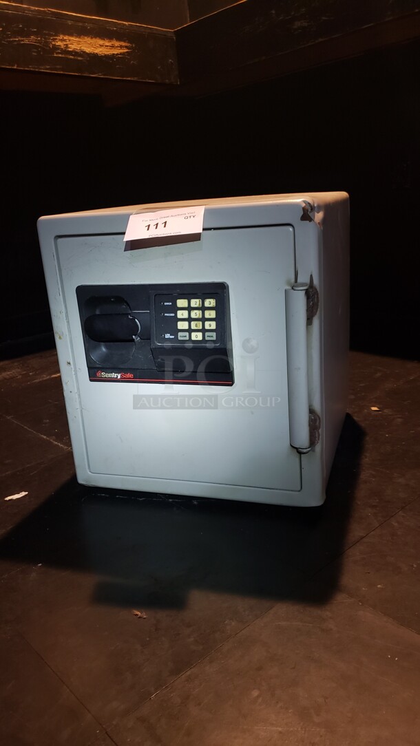 Sentry Safe. No code.

(Location 2) - Image 1 of 1