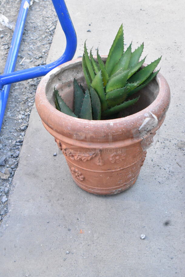 ALL ONE MONEY! Lot of Various Items Including Planters. - Image 3 of 7