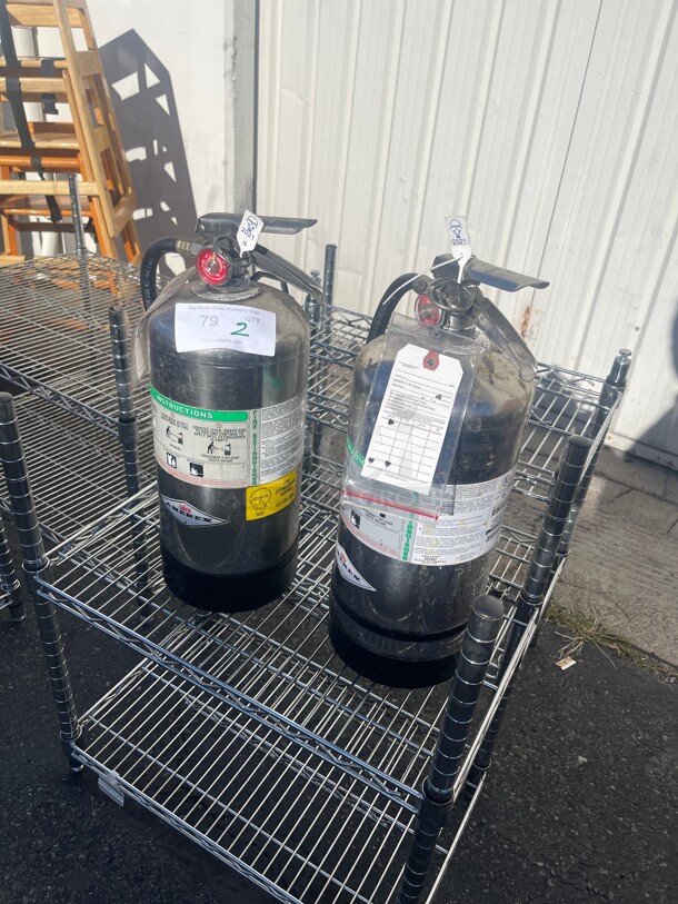 Amerex C260 - 6 Liter Class K Kitchen Fire Extinguisher Commercial NSF - Image 3 of 8