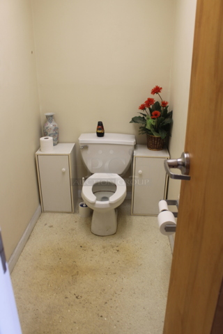 ALL ONE MONEY! ROOM LOT of Various Items Including Mirror, 2 White Cabinets and Fake Plant. Does Not Include Toilet or Sink. BUYER MUST REMOVE.