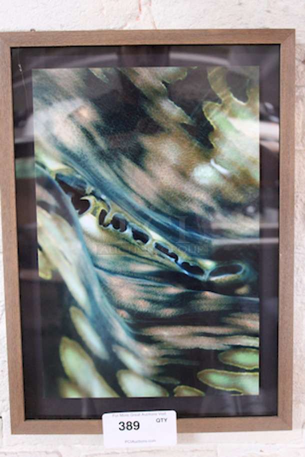 BEAUTIFUL! Framed Sea Life Print. 15-1/2x21-1/2
