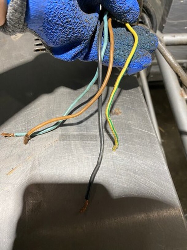 Cavecchi Commercial Mincer/Grater/Shredder! All Stainless Steel! On Legs! Model: 141/6 SN: 1145383 220/380V - Image 8 of 9