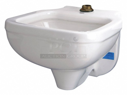BRAND NEW SCRATCH AND DENT! Zurn Z5410 Blowout Service Sink Wall Mount. 