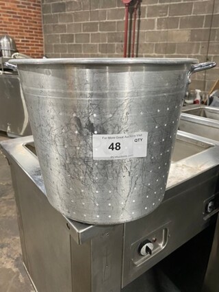 Metal Perforated Pot Insert! With Handles!