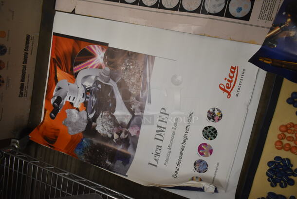 ALL ONE MONEY! Lot of Metabolic Pathways, Development Of Blood Cells Chart AND MORE!  - Image 5 of 7