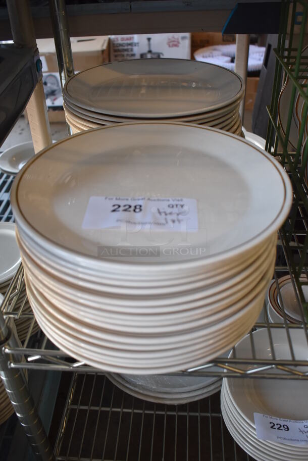 ALL ONE MONEY! Tier Lot of Various Items Including Ceramic Plates - Image 8 of 10