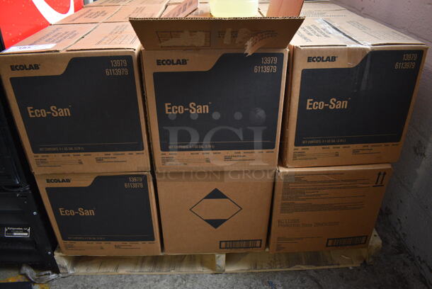 PALLET LOT of 24 BRAND NEW! Boxes of 4 Ecolab Eco-San Jugs. Total of 96 Jugs. 6x6x12. 24 Times Your Bid! - Image 4 of 4