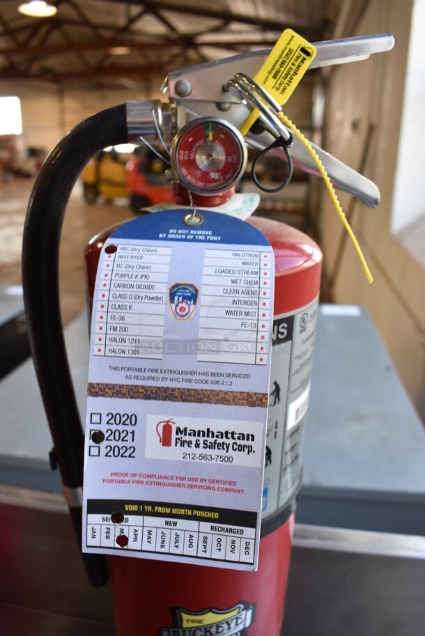 Buckeye Dry Chemical Fire Extinguisher. 6x5x21 - Image 3 of 3
