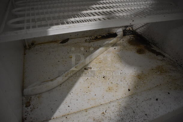 Electrolux FFFU21M1QWF Metal Single Door Reach In Freezer. 115 Volts, 1 Phase. 34x31x73. Tested and Working! - Image 4 of 6