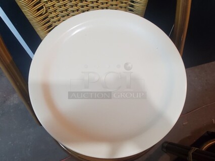 12" Dinner Plate!