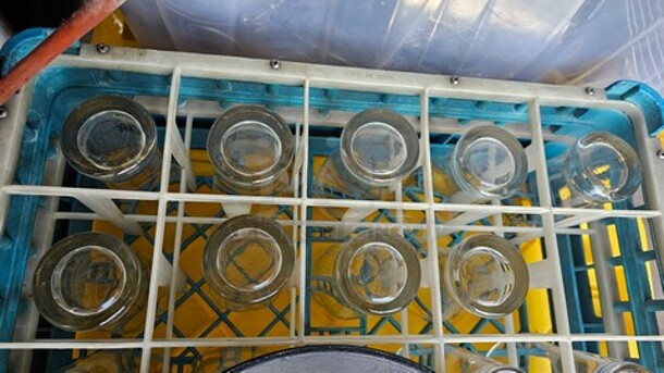 Lot of 10 Glasses
(25X BID) - Image 3 of 3