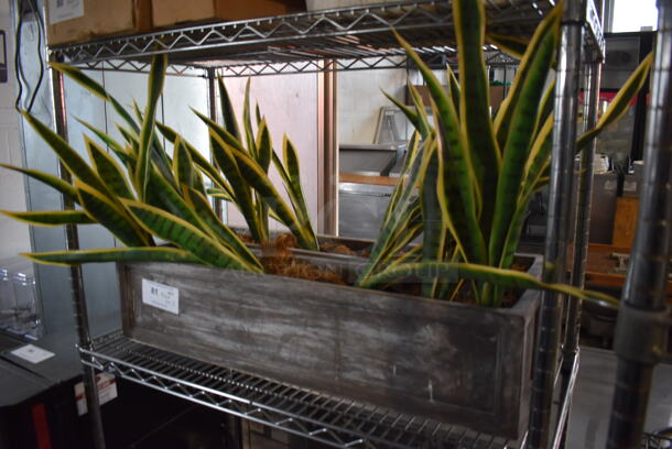 ALL ONE MONEY! Tier Lot of 2 Fake Plants - Image 3 of 3