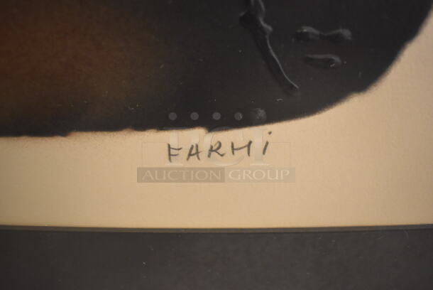 Framed SIGNED Picture of Don Quixote by Jean Claude Farhi. - Image 6 of 8