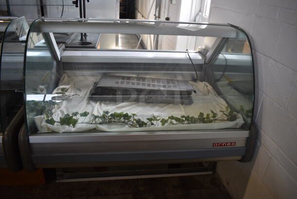 Arneg Metal Commercial Floor Style Deli Display Case Merchandiser. 115 Volts, 1 Phase. 53x45.5x47. Tested and Working! - Image 1 of 7