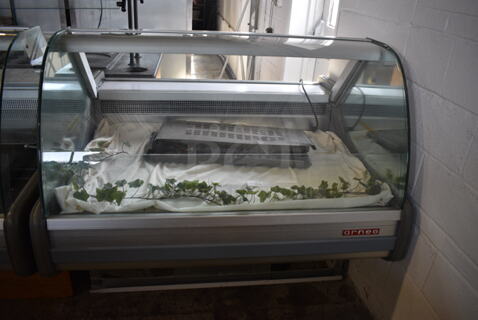 Arneg Metal Commercial Floor Style Deli Display Case Merchandiser. 115 Volts, 1 Phase. 53x45.5x47. Tested and Working!