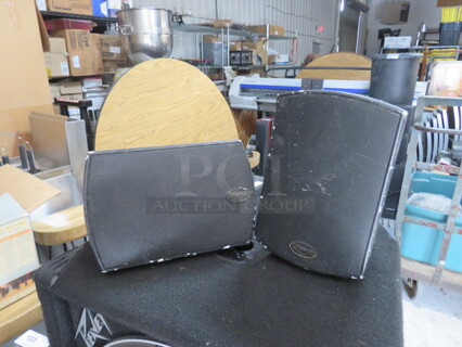 Infinity Speaker. #RS325. 2XBID