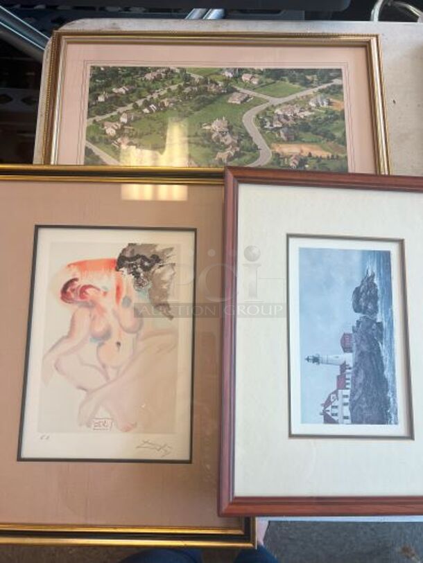 3 Various Framed Pictures; Lighthouse, Development, and ORIGINAL Signed Dali Picture of Woman's Nude Body. Includes 19.5x1x15.5. 3 Times Your Bid!