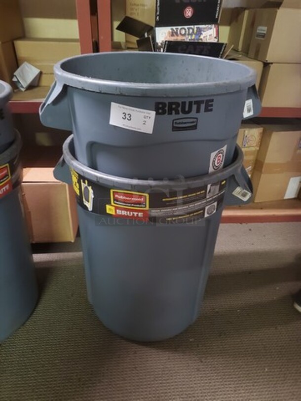 Rubbermaid 32 Gallon/121.1L Grey Brute Trash Can with Lid BIDX2 - Image 1 of 2