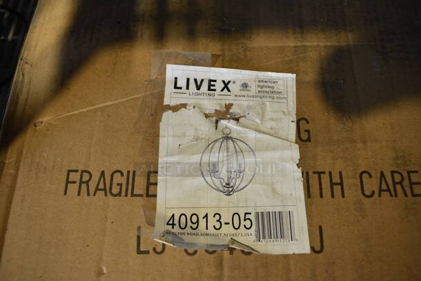 BRAND NEW SCRATCH AND DENT! Livex 41913-05 Light Fixture