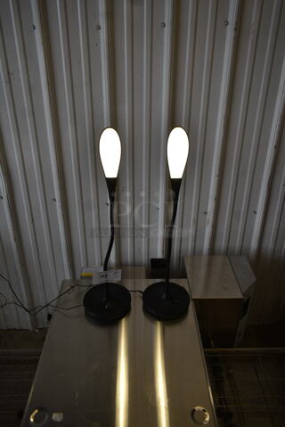 2 LED6-B Lights. 2 Times Your Bid!