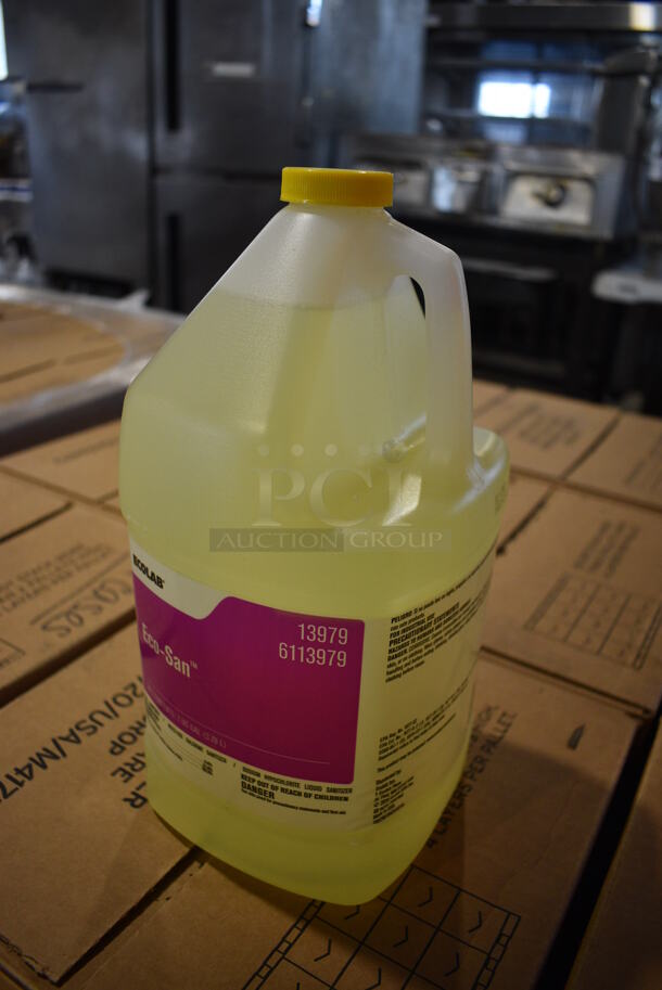 PALLET LOT of 24 BRAND NEW! Boxes of 4 Ecolab Eco-San Jugs. Total of 96 Jugs. 6x6x12. 24 Times Your Bid! - Image 2 of 3