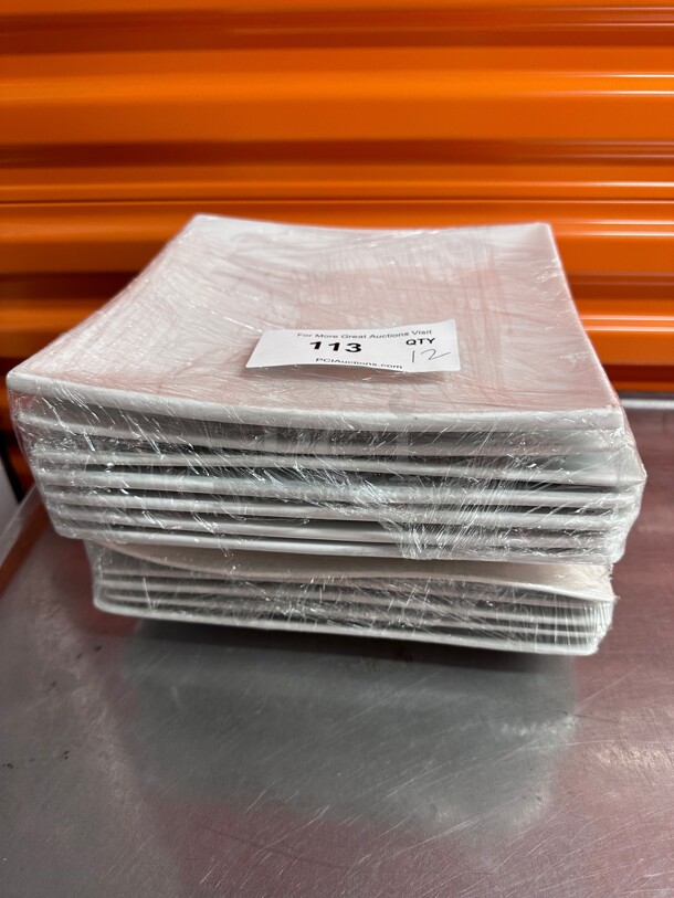 Clean! DENMARK TOOLS FOR COOKS Vitrified Porcelain Square Dinner Plates 10 inch High End Plates NSF 
Safe For Microwave Oven Dishwasher  - Image 1 of 5