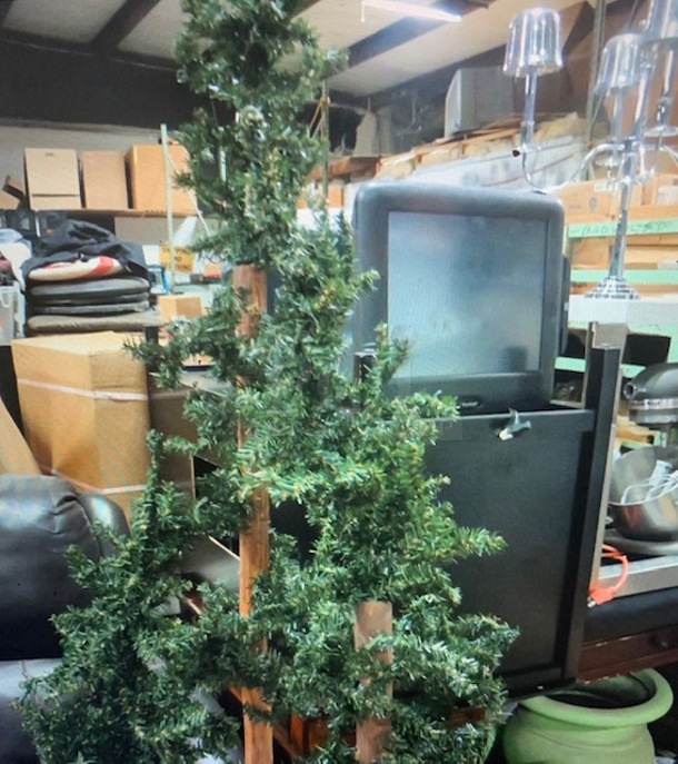 Assorted Size Christmas Tree. 3XBID