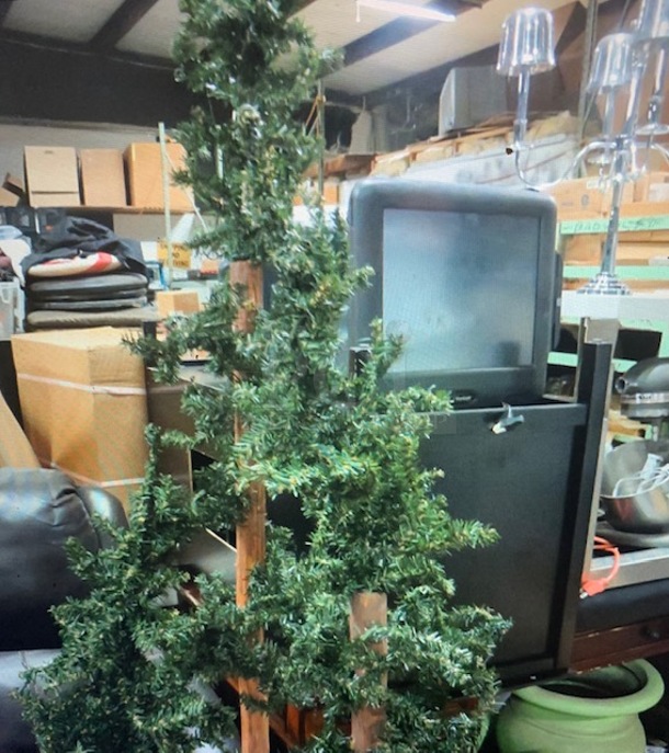 Assorted Size Christmas Tree. 3XBID - Image 1 of 2
