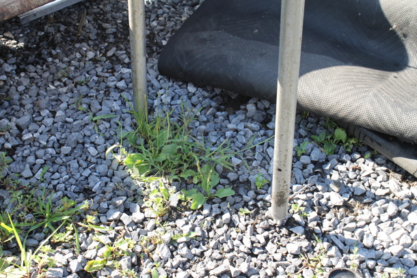 Stainless Steel Commercial Table w/ Back Splash. - Image 2 of 2