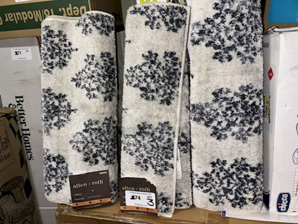 allen + roth Paula Accent Rug 25" x 44". 3x Your Bid.