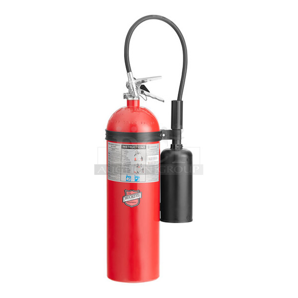 BRAND NEW SCRATCH AND DENT! Buckeye 47246100 15 lb. Carbon Dioxide BC Fire Extinguisher - Rechargeable Untagged