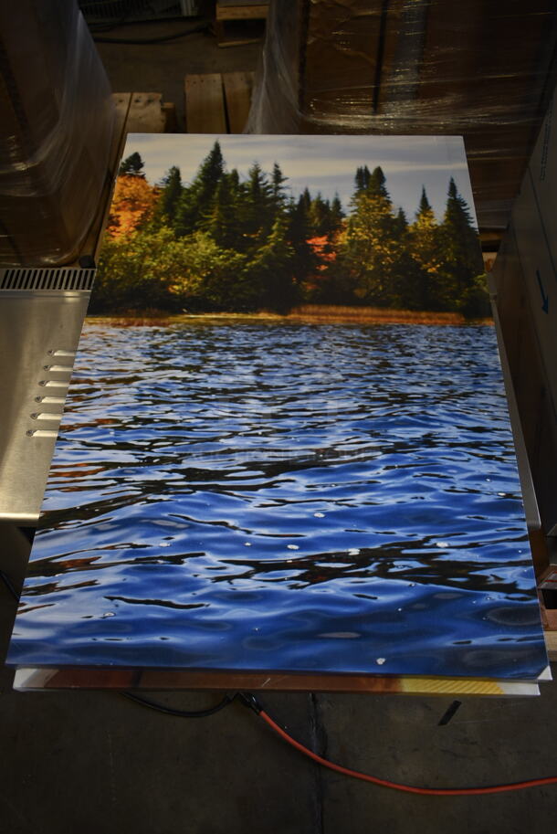ALL ONE MONEY! Lot of 7 Various Canvas Pictures - Image 6 of 7