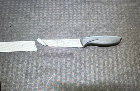 NEW Steak Knife. 12XBID