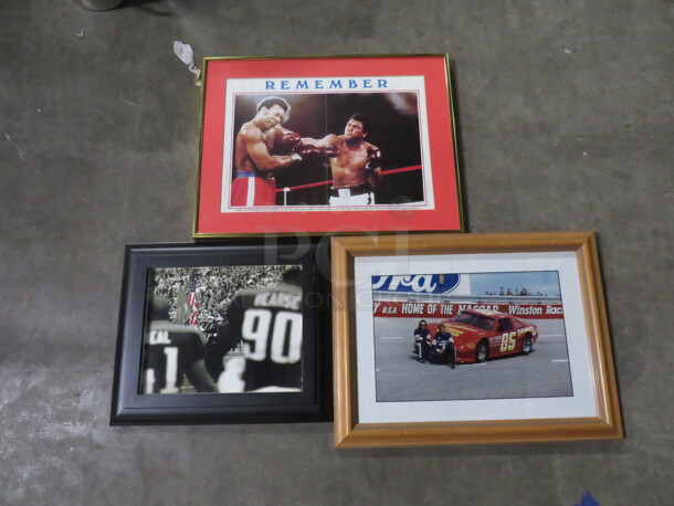 Framed Picture. 3XBID - Image 1 of 1