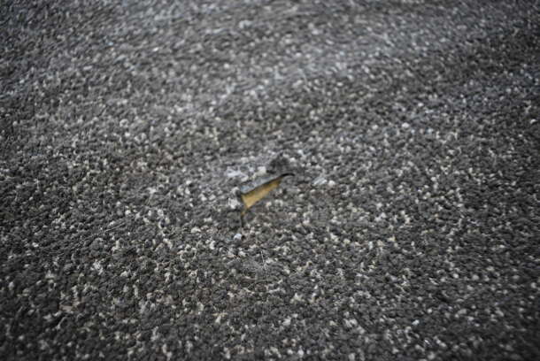 Black Floor Rug. 68x43.5 - Image 6 of 6