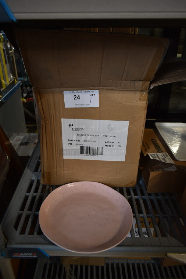 Box of 12 BRAND NEW! Steelite 6155RG100 Earth Pink Ceramic Plates. 