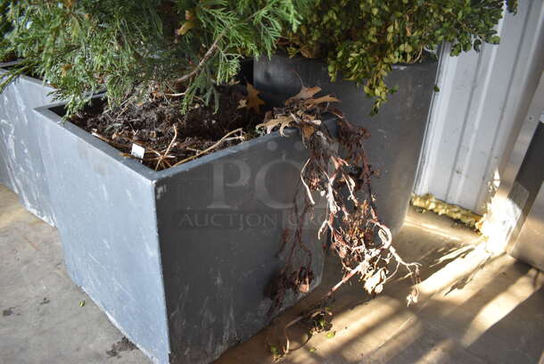 ALL ONE MONEY! Lot of 6 Various Fake Plants in Stone Planters! Includes 12x12x43 - Image 3 of 5