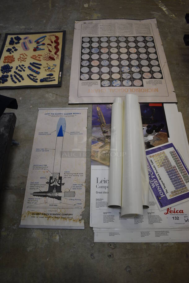 ALL ONE MONEY! Lot of Leica Science Learning Guides (Main Building) - Image 1 of 5