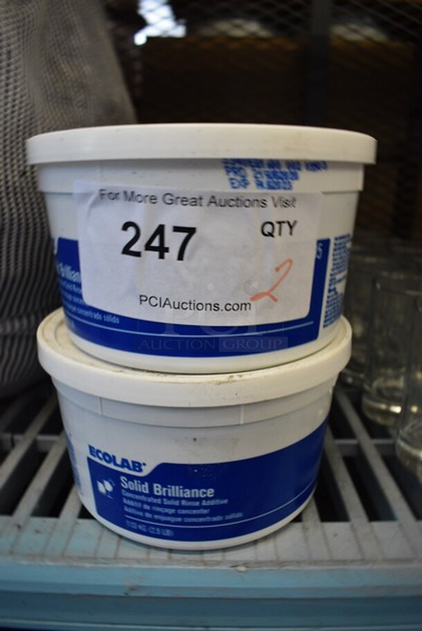 2 Ecolab Solid Brilliance Concentrated Solid Rinse Additive. 6.5x6.5x3.5. 2 Times Your Bid! - Image 1 of 3