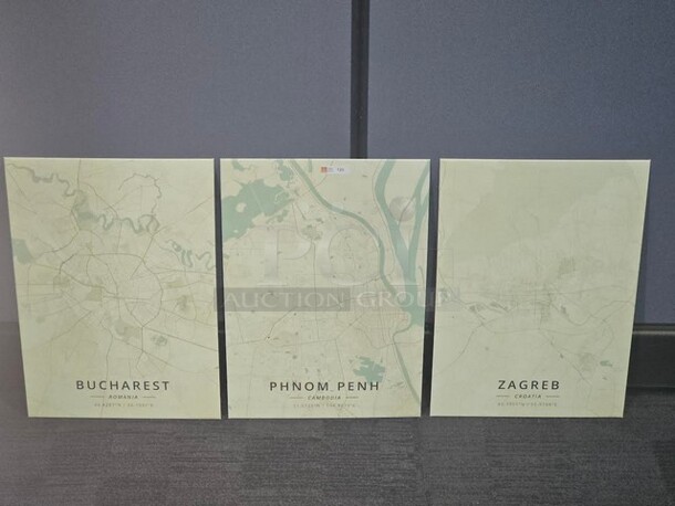ALL ONE MONEY Tin Map art set. Features 3 tin maps with coordinates for Bucharest, Romania- Phnom Penh, Cambodia- and Zagreb, Croatia. Each tin is 18” H x 12.5” W.  

  - Image 2 of 3