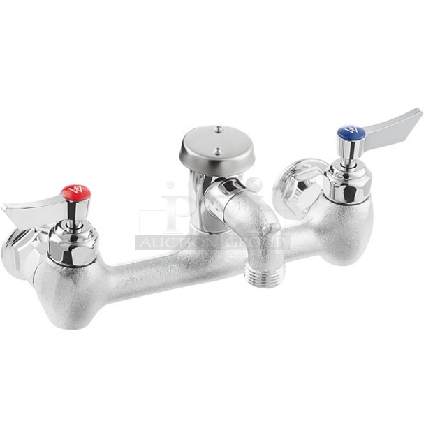 BRAND NEW SCRATCH AND DENT! Waterloo 750FSS8 Wall-Mounted Service Sink Faucet with 8
