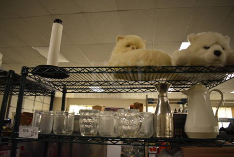 ALL ONE MONEY! Tier Lot of Various Items Including Paper Towel Holder, Cat Stuffed Animal, Bear Stuffed Animal, Glassware, Tumbler, and Sensor Soap Pump