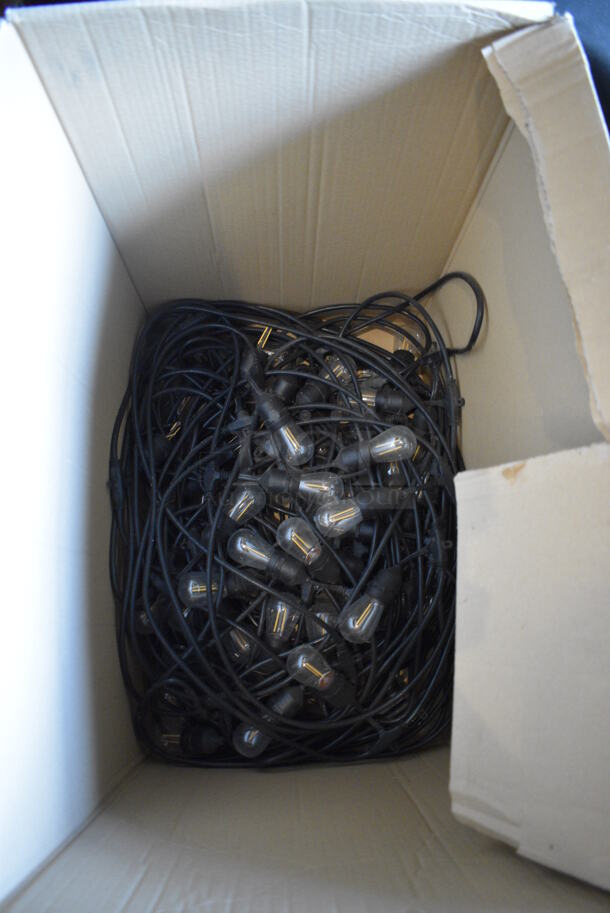 ALL ONE MONEY! Lot of 7 Boxes of Various Lights! BUYER MUST REMOVE. (Susquehanna Ale House) - Image 3 of 7
