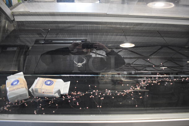 Arneg Metal Commercial Deli Display Case Merchandiser. 115 Volts, 1 Phase. 128x45.5x52. Tested and Working! - Image 3 of 8