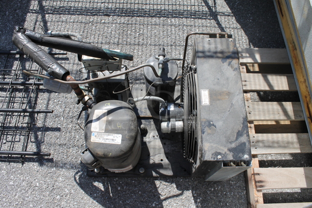 6'x8' Tafco Walk In Freezer Box w/ Floor, Tecumseh AW613ET-111-P21 208-230 Volt, 1 Phase Compressor and Evaporator Fan. Picture of the Unit Before Removal Is Included In the Listing. - Image 5 of 7