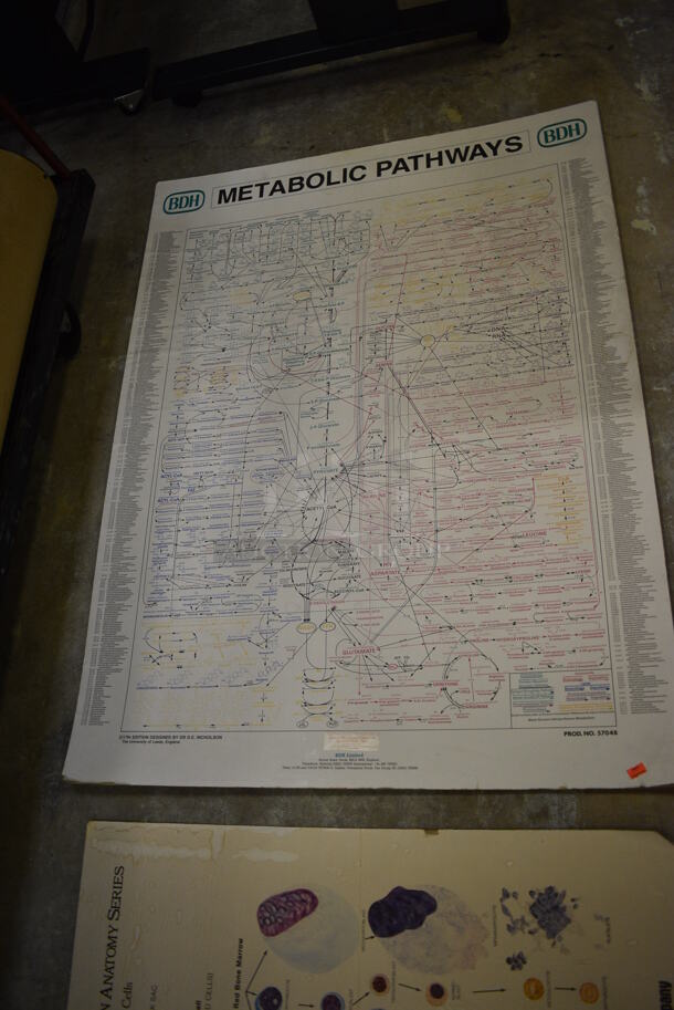 ALL ONE MONEY! Lot of Leica Science Learning Guides (Main Building) - Image 2 of 5