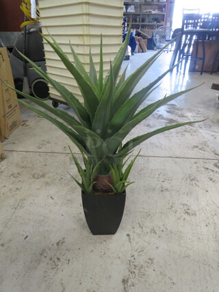 One Potted Plant.