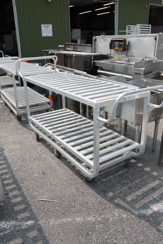 Newage Metal Commercial 2 Tier Cart w/ 2 Push Handle on Commercial Casters.