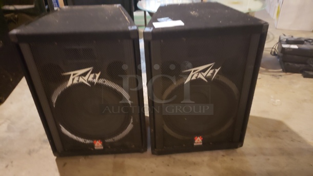 Lot of 2 Peavey Speakers