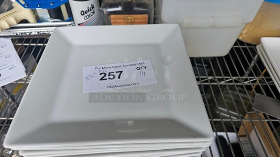 Lot of 14 Square Plates